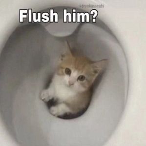 Meet your Posher, Cara